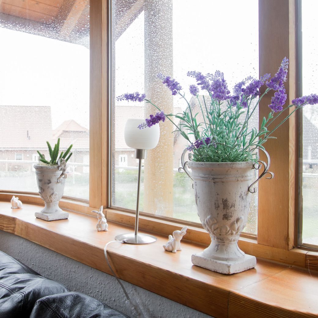 Fenster mit Blumen & Dekoration, Wohnbereich