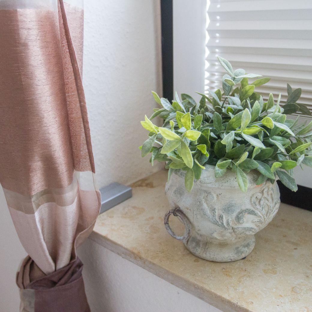 Grüne Pflaze auf Fensterbank im Schlafzimmer