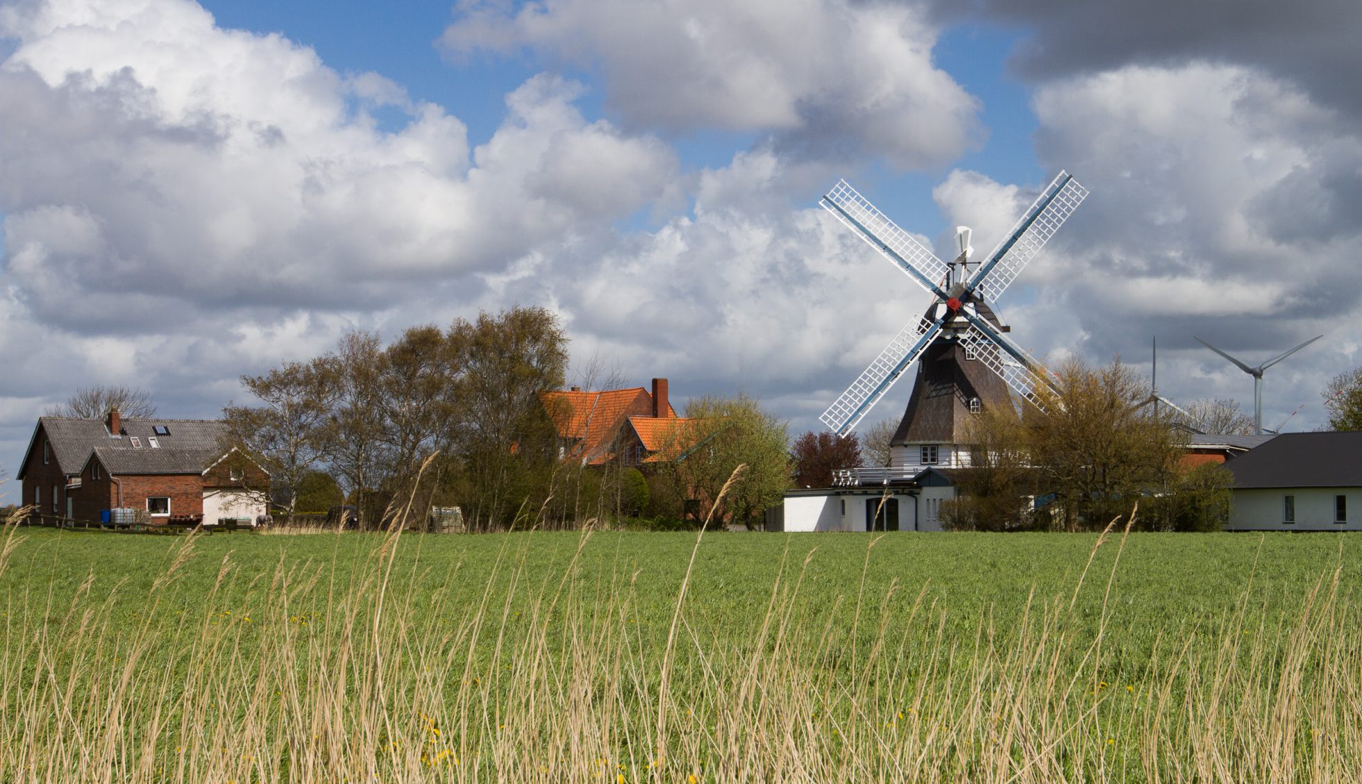 Hochzeitsmühle Vergissmeinnicht