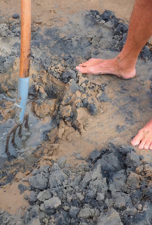 Mistgabel & Füße im schlammigen Watt