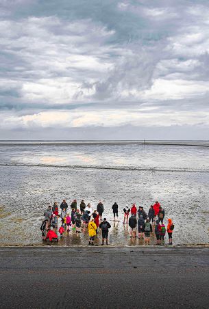 Gruppe im Watt aus Deichperspektive